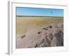 Aerial View of Wildebeest, Khama Rhino Reserve-Paul Souders-Framed Photographic Print