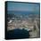 Aerial View of World's Fair-null-Framed Stretched Canvas