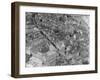 Aerial View of Zurich-Charles Rotkin-Framed Photographic Print