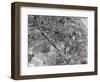 Aerial View of Zurich-Charles Rotkin-Framed Photographic Print