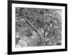 Aerial View of Zurich-Charles Rotkin-Framed Photographic Print