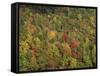 Aerial View over Autumnal Forest Canopy, Near Green Knob, Blue Ridge Parkway, North Carolina, USA-James Green-Framed Stretched Canvas