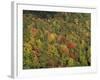 Aerial View over Autumnal Forest Canopy, Near Green Knob, Blue Ridge Parkway, North Carolina, USA-James Green-Framed Photographic Print