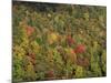 Aerial View over Autumnal Forest Canopy, Near Green Knob, Blue Ridge Parkway, North Carolina, USA-James Green-Mounted Photographic Print