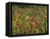 Aerial View over Autumnal Forest Canopy, Near Green Knob, Blue Ridge Parkway, North Carolina, USA-James Green-Framed Stretched Canvas