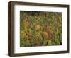 Aerial View over Autumnal Forest Canopy, Near Green Knob, Blue Ridge Parkway, North Carolina, USA-James Green-Framed Photographic Print