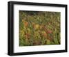 Aerial View over Autumnal Forest Canopy, Near Green Knob, Blue Ridge Parkway, North Carolina, USA-James Green-Framed Photographic Print