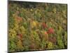 Aerial View over Autumnal Forest Canopy, Near Green Knob, Blue Ridge Parkway, North Carolina, USA-James Green-Mounted Photographic Print