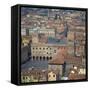 Aerial View over Central Bologna, Emilia-Romagna, Italy, Europe-Tony Gervis-Framed Stretched Canvas