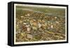 Aerial View over Downtown Portland, Oregon-null-Framed Stretched Canvas