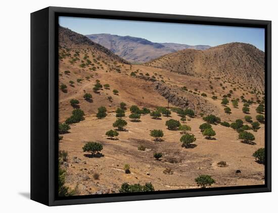 Aerial View over Fars Province Landscape, with Olive Trees, Iran, Middle East-Poole David-Framed Stretched Canvas