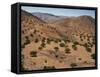 Aerial View over Fars Province Landscape, with Olive Trees, Iran, Middle East-Poole David-Framed Stretched Canvas