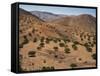 Aerial View over Fars Province Landscape, with Olive Trees, Iran, Middle East-Poole David-Framed Stretched Canvas