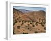 Aerial View over Fars Province Landscape, with Olive Trees, Iran, Middle East-Poole David-Framed Photographic Print