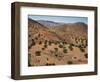 Aerial View over Fars Province Landscape, with Olive Trees, Iran, Middle East-Poole David-Framed Photographic Print