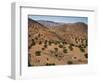 Aerial View over Fars Province Landscape, with Olive Trees, Iran, Middle East-Poole David-Framed Photographic Print