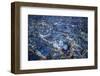 Aerial View over St. Paul's Cathedral, at Night London, England-Jon Arnold-Framed Photographic Print