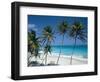 Aerial View Over the Beach at St.Philip Parish on the Atlantic Coast, Barbados, Caribbean-Robert Francis-Framed Photographic Print