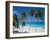 Aerial View Over the Beach at St.Philip Parish on the Atlantic Coast, Barbados, Caribbean-Robert Francis-Framed Photographic Print