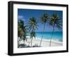 Aerial View Over the Beach at St.Philip Parish on the Atlantic Coast, Barbados, Caribbean-Robert Francis-Framed Photographic Print