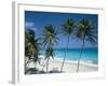 Aerial View Over the Beach at St.Philip Parish on the Atlantic Coast, Barbados, Caribbean-Robert Francis-Framed Photographic Print