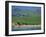 Aerial View over the Dingle Peninsula, County Kerry, Munster, Republic of Ireland, Europe-Maxwell Duncan-Framed Photographic Print