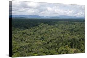 Aerial View over the Rainforest of Guyana, South America-Mick Baines & Maren Reichelt-Stretched Canvas