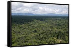 Aerial View over the Rainforest of Guyana, South America-Mick Baines & Maren Reichelt-Framed Stretched Canvas