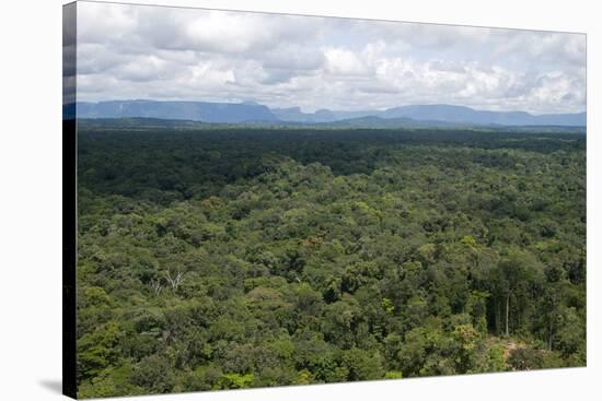 Aerial View over the Rainforest of Guyana, South America-Mick Baines & Maren Reichelt-Stretched Canvas