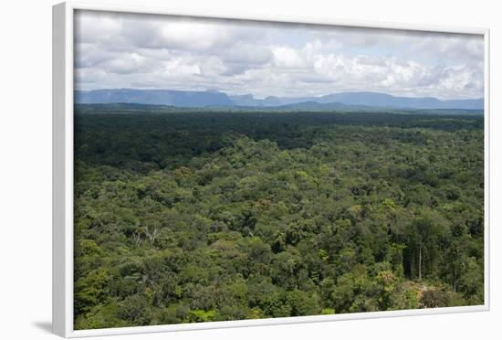 Aerial View over the Rainforest of Guyana, South America-Mick Baines & Maren Reichelt-Framed Photographic Print