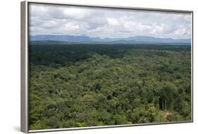 Aerial View over the Rainforest of Guyana, South America-Mick Baines & Maren Reichelt-Framed Photographic Print