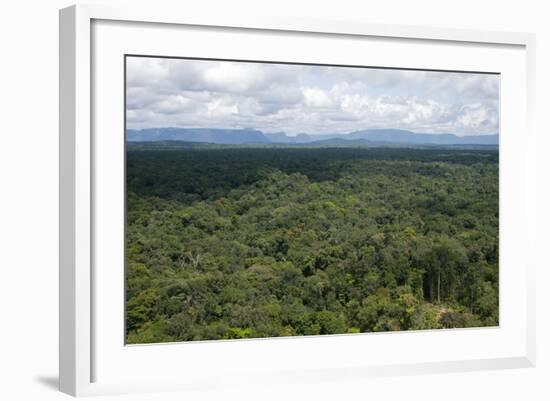 Aerial View over the Rainforest of Guyana, South America-Mick Baines & Maren Reichelt-Framed Photographic Print