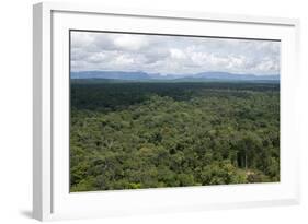 Aerial View over the Rainforest of Guyana, South America-Mick Baines & Maren Reichelt-Framed Photographic Print