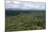 Aerial View over the Rainforest of Guyana, South America-Mick Baines & Maren Reichelt-Mounted Photographic Print