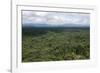 Aerial View over the Rainforest of Guyana, South America-Mick Baines & Maren Reichelt-Framed Photographic Print