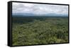 Aerial View over the Rainforest of Guyana, South America-Mick Baines & Maren Reichelt-Framed Stretched Canvas