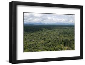 Aerial View over the Rainforest of Guyana, South America-Mick Baines & Maren Reichelt-Framed Photographic Print