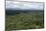 Aerial View over the Rainforest of Guyana, South America-Mick Baines & Maren Reichelt-Mounted Photographic Print