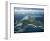 Aerial View over Tropical Island, Tobago, West Indies, Caribbean, Central America-Woolfitt Adam-Framed Photographic Print