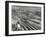 Aerial View Overlooking Network of Tracks for 20 Major Railroads Converging on Union Station-Andreas Feininger-Framed Premium Photographic Print