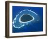 Aerial View, Reef Formation and Island, Fiji, South Pacific Islands-Lousie Murray-Framed Photographic Print