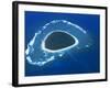 Aerial View, Reef Formation and Island, Fiji, South Pacific Islands-Lousie Murray-Framed Photographic Print