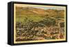 Aerial View, Reno, Nevada-null-Framed Stretched Canvas