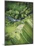 Aerial View - River-Joseph Eta-Mounted Giclee Print