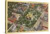 Aerial View, State Capitol, Raleigh, North Carolina-null-Stretched Canvas