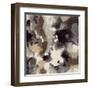 Aerial View-Liz Jardine-Framed Art Print