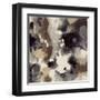 Aerial View-Liz Jardine-Framed Art Print