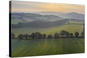 Aerial vista of rolling farmland in summer time, Devon, England, United Kingdom, Europe-Adam Burton-Stretched Canvas