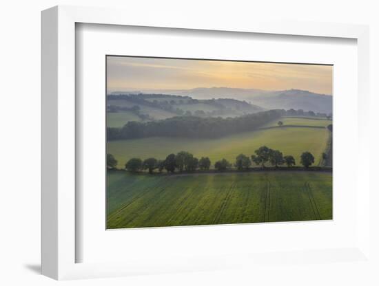 Aerial vista of rolling farmland in summer time, Devon, England, United Kingdom, Europe-Adam Burton-Framed Photographic Print