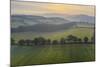 Aerial vista of rolling farmland in summer time, Devon, England, United Kingdom, Europe-Adam Burton-Mounted Photographic Print